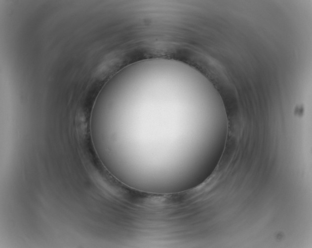 X0000096150086200802011242