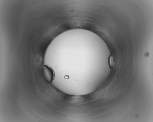 X0000096150087200802011242