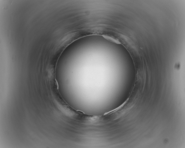 X0000096150092200802011242