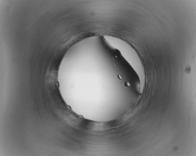 X0000096150093200802011242