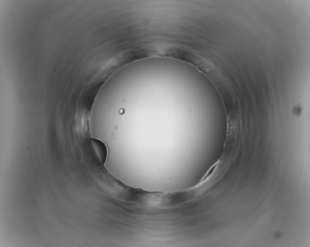 X0000096150094200802011242