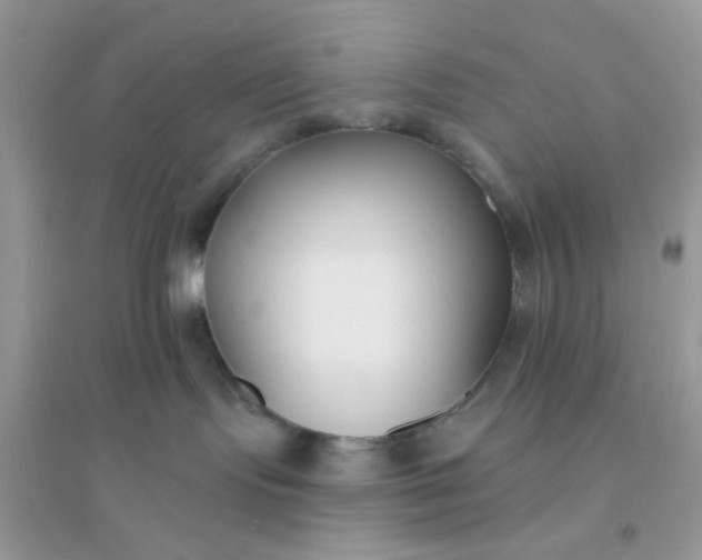 X0000096150095200802011242