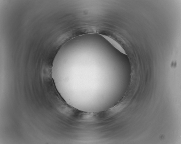X0000096150096200802011242