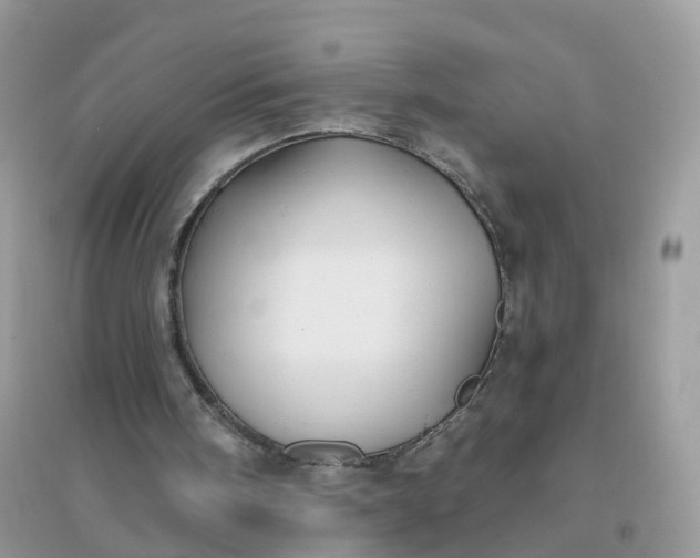 X0000096150098200802011242