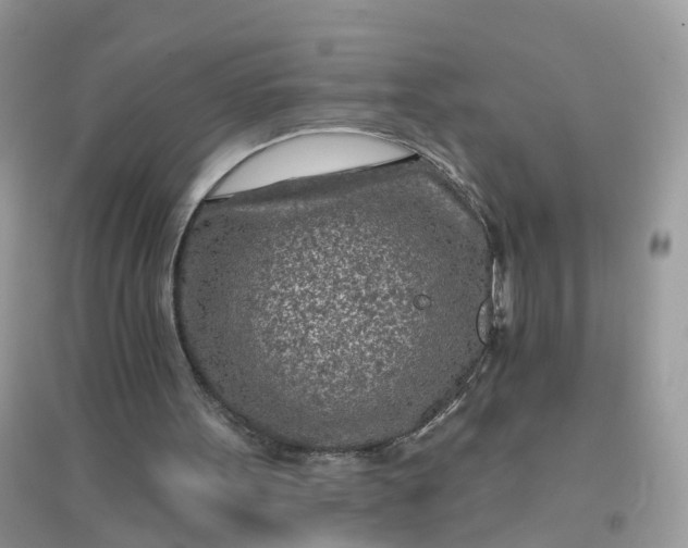 X0000096150099200802011242