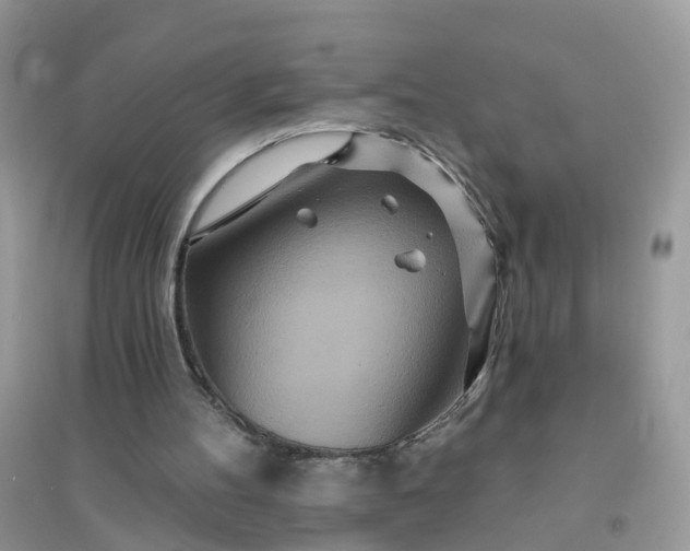 X0000096150100200802011242