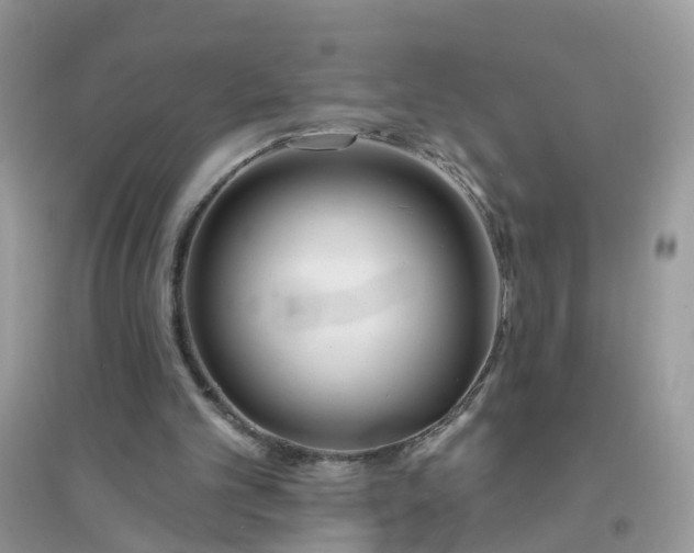 X0000096150101200802011242