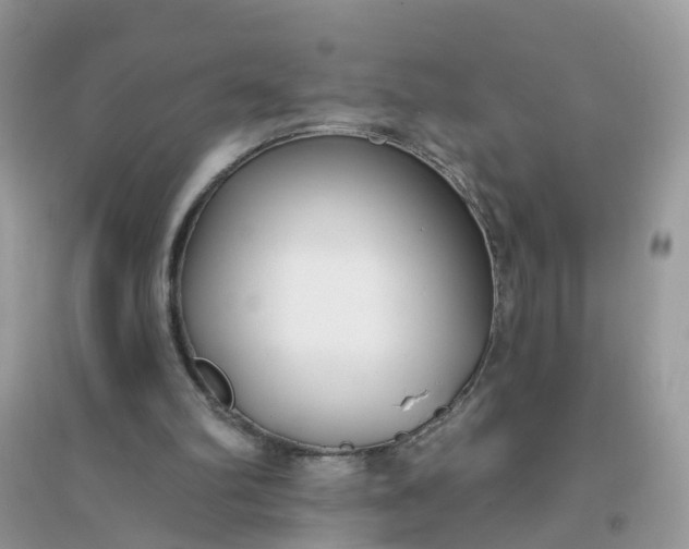X0000096150102200802011242
