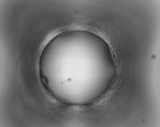 X0000096150103200802011241