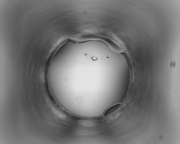 X0000096150106200802011241
