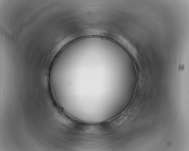 X0000096150107200802011241