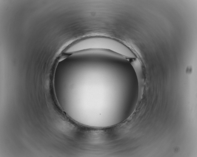 X0000096150108200802011241