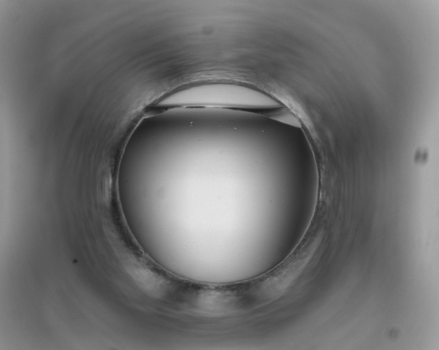 X0000096150109200802011241