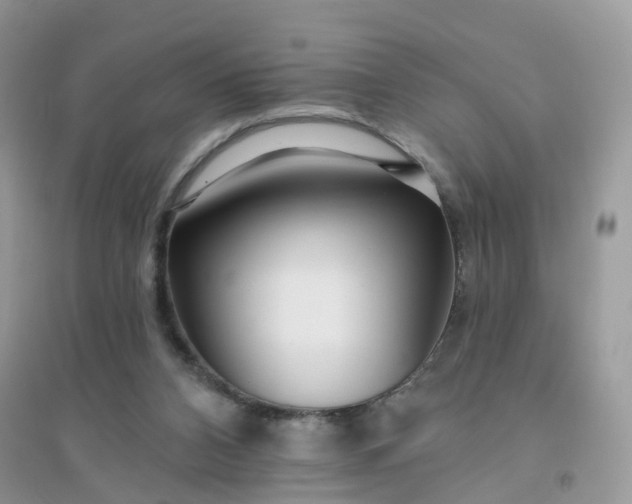 X0000096150112200802011241