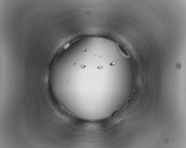 X0000096150115200802011241