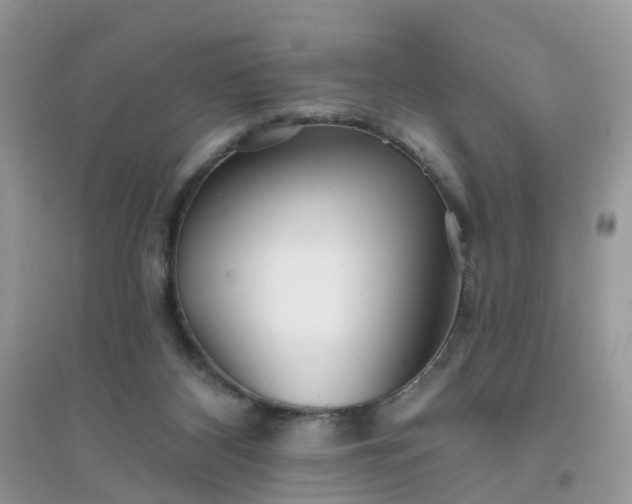 X0000096150116200802011241