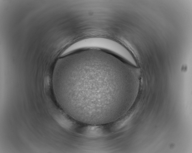 X0000096150117200802011241