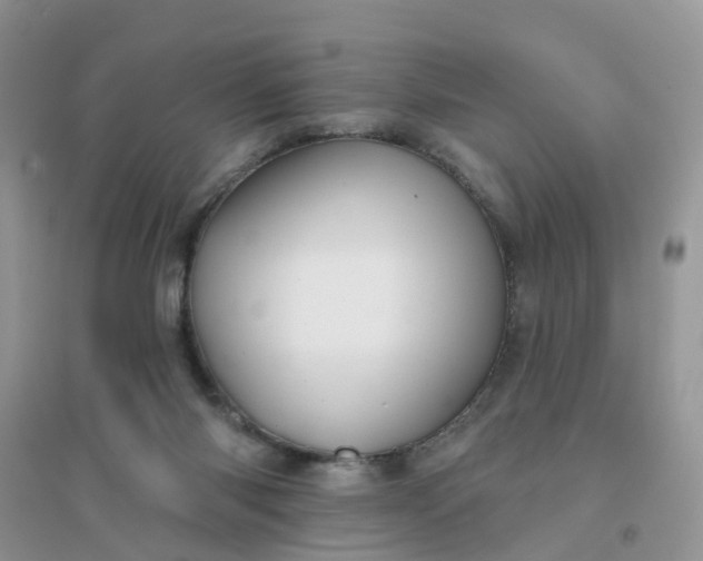 X0000096150118200802011241