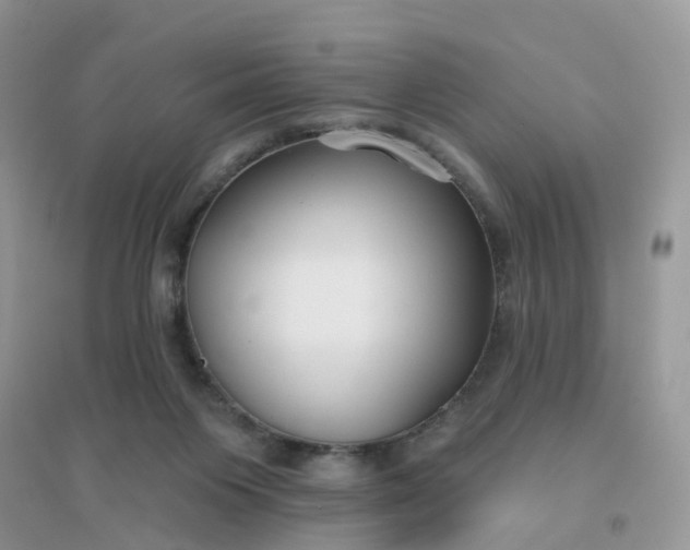X0000096150119200802011241