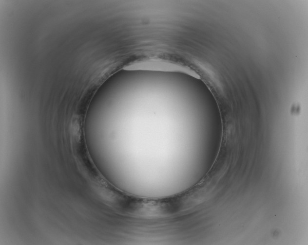 X0000096150121200802011241
