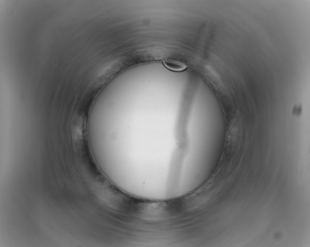 X0000096150122200802011241