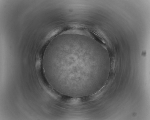 X0000096150124200802011241