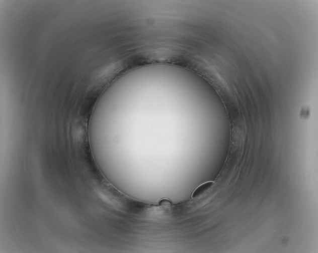 X0000096150126200802011241