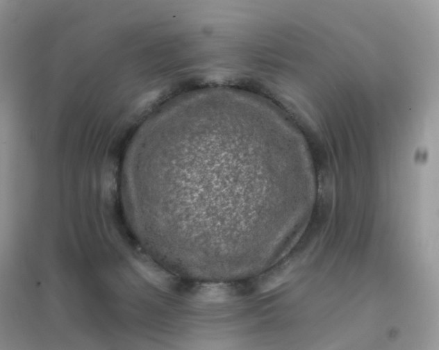 X0000096150127200802011241
