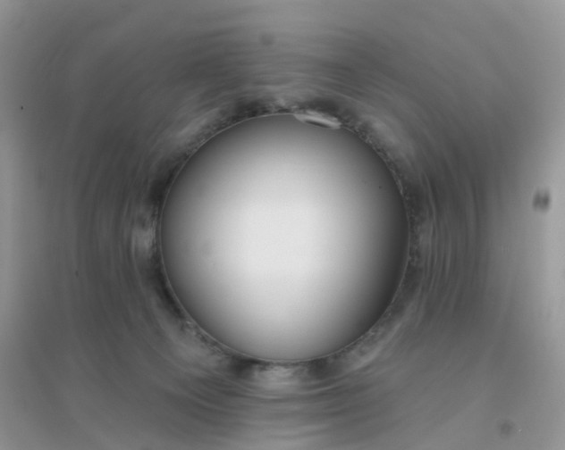 X0000096150129200802011241
