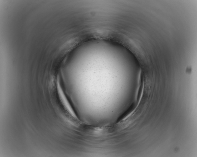 X0000096150130200802011241