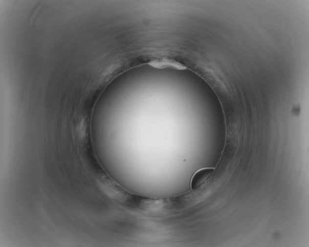 X0000096150131200802011241