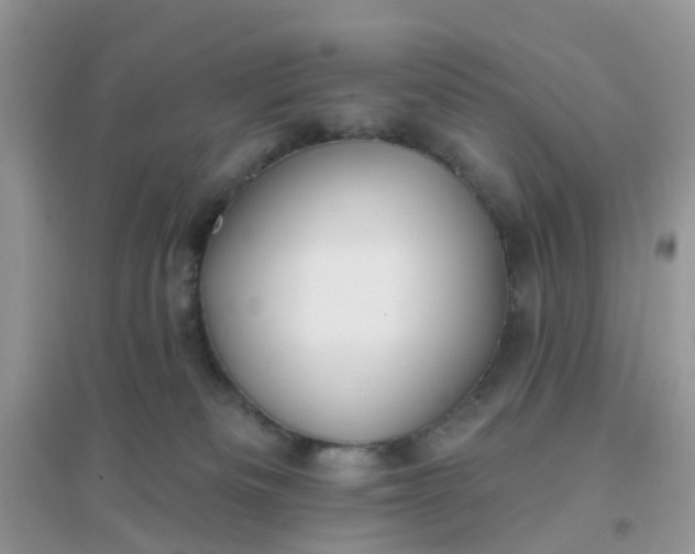 X0000096150133200802011241
