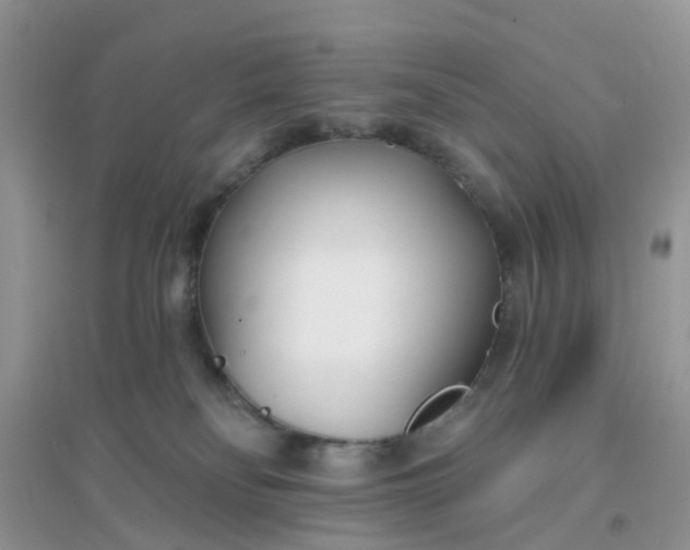 X0000096150134200802011241