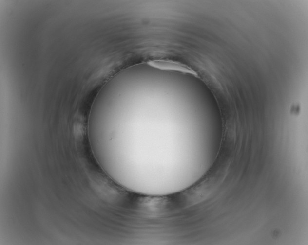 X0000096150135200802011241
