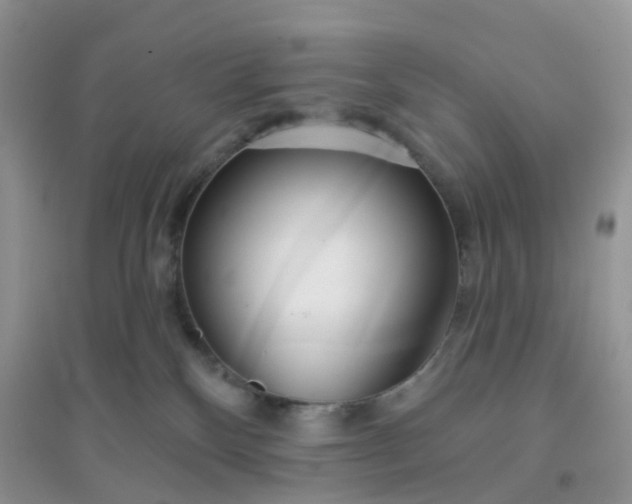 X0000096150136200802011241