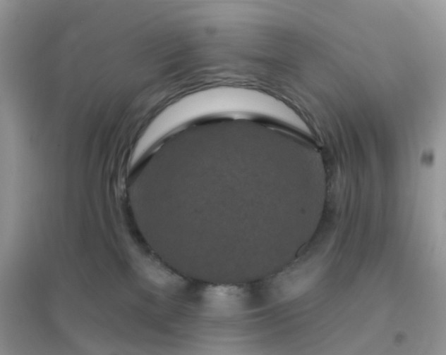 X0000096150137200802011241