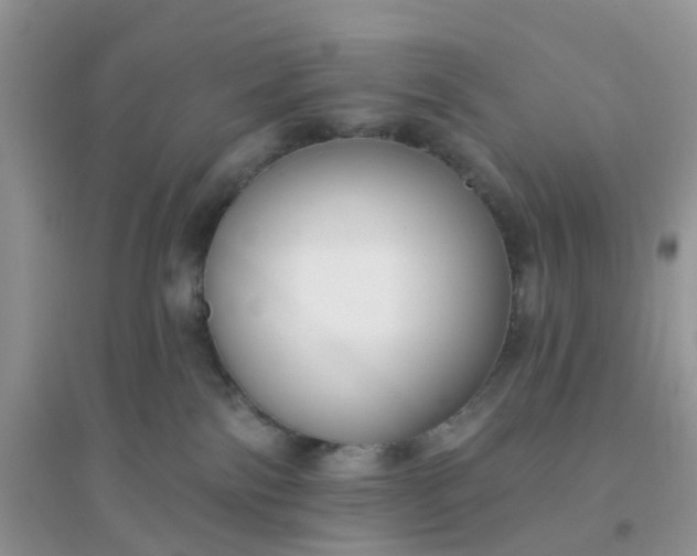X0000096150138200802011241