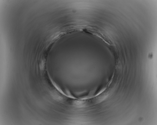 X0000096150139200802011241