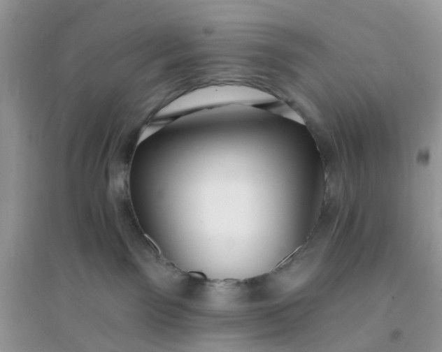 X0000096150141200802011241