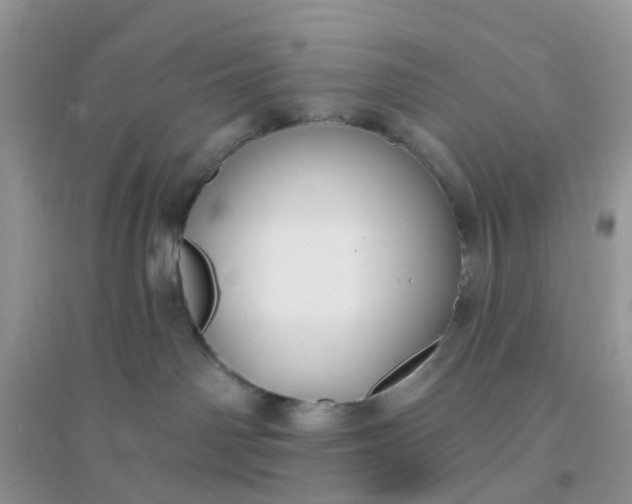 X0000096150142200802011241