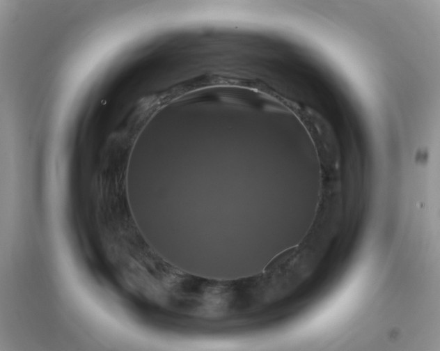 X0000096150143200802011241