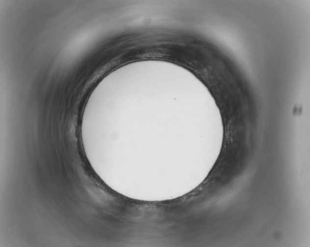 X0000096150146200802011240