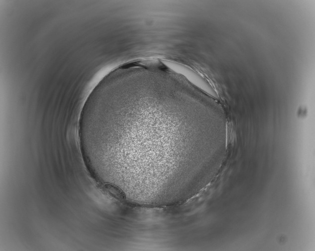 X0000096150147200802011240