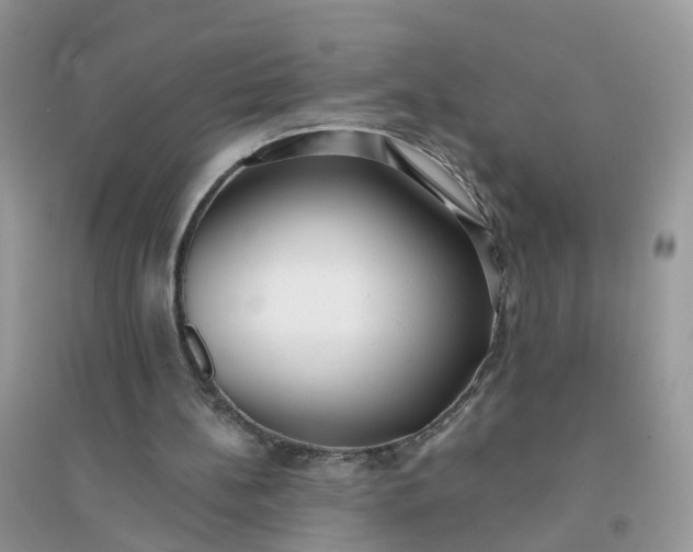 X0000096150148200802011240