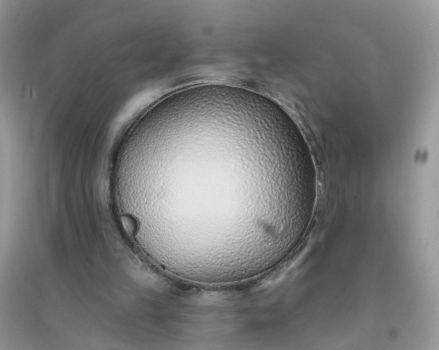 X0000096150149200802011240