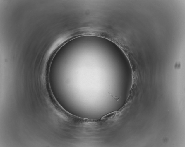 X0000096150150200802011240