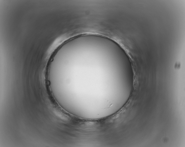 X0000096150151200802011240