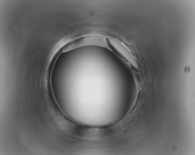 X0000096150152200802011240