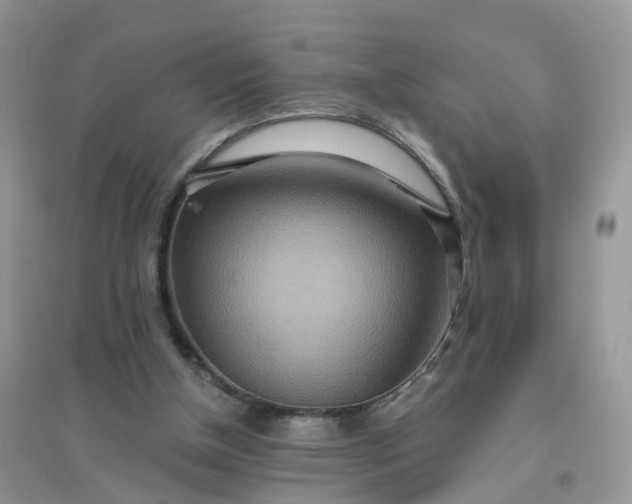 X0000096150154200802011240