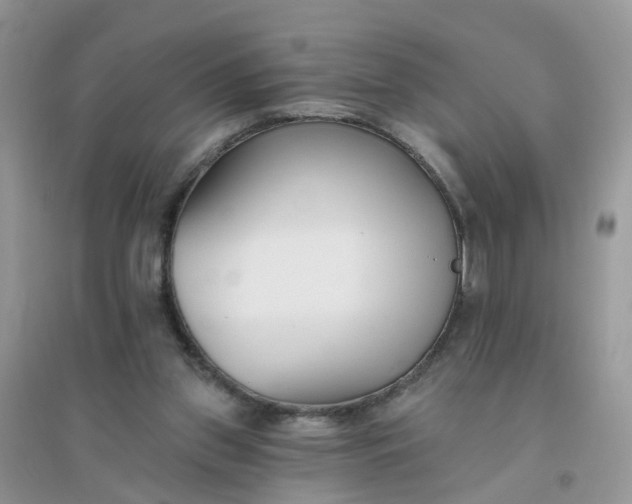 X0000096150157200802011240